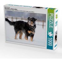 CALVENDO Puzzle Hovawart - Spass im Schnee 1000 Teile Lege-Größe 64x48cm Foto-Puzzle für glückliche Stunden von CALVENDO Verlag GmbH