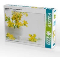 CALVENDO Puzzle Hypericum perforatum; Johanniskraut 2000 Teile Lege-Größe 90 x 67 cm Foto-Puzzle Bild von Avianaarts Design Fotografie by Tanja Riedel von Calvendo Puzzle