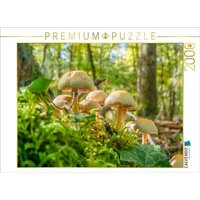 CALVENDO Puzzle Hypholoma fasciculare 2000 Teile Puzzle quer 2000 Teile Lege-Größe 90 × 67 cm Foto-Puzzle für glückliche Stunden von CALVENDO Verlag GmbH
