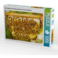 CALVENDO Puzzle Imker zeigt eine seiner Bienenwaben mit vielen Honigbienen. 1000 Teile Lege-Größe 64x48cm Foto-Puzzle für glückliche Stunden von CALVENDO Verlag GmbH