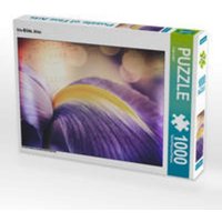 CALVENDO Puzzle Iris-Blüte, blau 1000 Teile Lege-Größe 64 x 48 cm Foto-Puzzle Bild von Foto-FukS von Calvendo Puzzle