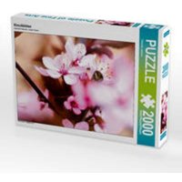 CALVENDO Puzzle Kirschblüten 2000 Teile Lege-Größe 90 × 67 cm Foto-Puzzle für glückliche Stunden CALVENDO Puzzle Kirschblüten 2000 Teile Lege-Größe 90 × 67 cm Foto-Puzzle für glückliche Stunden von CALVENDO Verlag GmbH