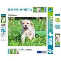 CALVENDO Puzzle Kleiner Welteroberer 1000 Teile Lege-Größe 64x48cm Foto-Puzzle für glückliche Stunden CALVENDO Puzzle Kleiner Welteroberer 1000 Teile Lege-Größe 64x48cm Foto-Puzzle für glückliche Stunden von Calvendo Puzzle