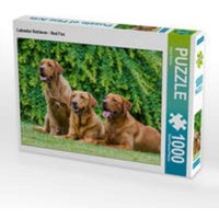 CALVENDO Puzzle Labrador Retriever - Red Fox 1000 Teile Lege-Größe 64x48cm Foto-Puzzle für glückliche Stunden von Calvendo