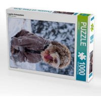 CALVENDO Puzzle Lagotto Schneealarm 1000 Teile Lege-Größe 64x48cm Foto-Puzzle für glückliche Stunden von Calvendo Puzzle