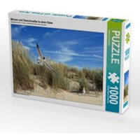 CALVENDO Puzzle Möwen und Seeschwalbe in einer Düne 1000 Teile Lege-Größe 64x48cm Foto-Puzzle für glückliche Stunden CALVENDO Puzzle Möwen und Seeschwalbe in einer Düne 1000 Teile Lege-Größe 64x48cm Foto-Puzzle für glückliche Stunden von CALVENDO V