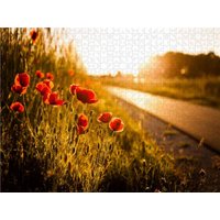 CALVENDO Puzzle Mohnblumen am Radweg zwischen Heßdorf und Großenseebach 2000 Teile Lege-Größe 90 × 67 cm Foto-Puzzle für glückliche Stunden CALVENDO Puzzle Mohnblumen am Radweg zwischen Heßdorf und Großenseebach 2000 Teile Lege-Größe 90 × 67 cm Foto-Puzzle für glückliche Stunden von CALVENDO Verlag GmbH