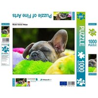 CALVENDO Puzzle Müder kleiner Welpe 1000 Teile Lege-Größe 64x48cm Foto-Puzzle für glückliche Stunden von Calvendo Puzzle