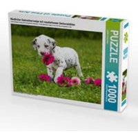 CALVENDO Puzzle Niedlicher Dalmatinerwelpe mit rosafarbenen Gerberablüten 1000 Teile Lege-Größe 64x48cm Foto-Puzzle für glückliche Stunden CALVENDO Puzzle Niedlicher Dalmatinerwelpe mit rosafarbenen Gerberablüten 1000 Teile Lege-Größe 64x48cm Foto-Puzzle für glückliche Stunden von CALVENDO V