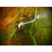 CALVENDO Puzzle Park Geres Wasserfall 2000 Teile Puzzle quer 2000 Teile Lege-Größe 90 × 67 cm Foto-Puzzle für glückliche Stunden CALVENDO Puzzle Park Geres Wasserfall 2000 Teile Puzzle quer 2000 Teile Lege-Größe 90 × 67 cm Foto-Puzzle für glückliche Stunden von Calvendo Puzzle