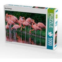 CALVENDO Puzzle Rosa Flamingo 1000 Teile Lege-Größe 64x48cm Foto-Puzzle für glückliche Stunden CALVENDO Puzzle Rosa Flamingo 1000 Teile Lege-Größe 64x48cm Foto-Puzzle für glückliche Stunden von CALVENDO V