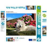 CALVENDO Puzzle Samojede im Garten 1000 Teile Lege-Größe 64x48cm Foto-Puzzle für glückliche Stunden CALVENDO Puzzle Samojede im Garten 1000 Teile Lege-Größe 64x48cm Foto-Puzzle für glückliche Stunden von Calvendo