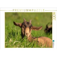 CALVENDO Puzzle Sonnenbaden 2000 Teile Lege-Größe 90x67cm Foto-Puzzle für glückliche Stunden CALVENDO Puzzle Sonnenbaden 2000 Teile Lege-Größe 90x67cm Foto-Puzzle für glückliche Stunden von CALVENDO Verlag GmbH