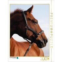 CALVENDO Puzzle Springpferd 2000 Teile Puzzle hoch 2000 Teile Lege-Größe 90 × 67 cm Foto-Puzzle für glückliche Stunden von CALVENDO Verlag GmbH