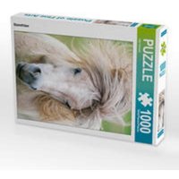 CALVENDO Puzzle Sturmfrisur 1000 Teile Lege-Größe 48 x 64 cm Foto-Puzzle Bild von Ingo Gerlach CALVENDO Puzzle Sturmfrisur 1000 Teile Lege-Größe 48 x 64 cm Foto-Puzzle Bild von Ingo Gerlach von Calvendo Puzzle