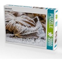 CALVENDO Puzzle Unterm Raureif 2000 Teile Puzzle quer 2000 Teile Lege-Größe 90 × 67 cm Foto-Puzzle für glückliche Stunden von Calvendo Puzzle