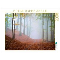 CALVENDO Puzzle Wald im Nebel 2000 Teile Lege-Größe 90x67cm Foto-Puzzle für glückliche Stunden CALVENDO Puzzle Wald im Nebel 2000 Teile Lege-Größe 90x67cm Foto-Puzzle für glückliche Stunden von CALVENDO Verlag GmbH