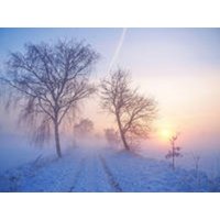 CALVENDO Puzzle Winterlicher Sonnenuntergang im Nebel 1000 Teile Lege-Größe 64x48cm Foto-Puzzle für glückliche Stunden CALVENDO Puzzle Winterlicher Sonnenuntergang im Nebel 1000 Teile Lege-Größe 64x48cm Foto-Puzzle für glückliche Stunden von Calvendo