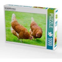 CALVENDO Puzzle Zwei glückliche Hühner 1000 Teile Puzzle quer 1000 Teile Lege-Größe 64 × 48 cm Foto-Puzzle für glückliche Stunden von CALVENDO Verlag GmbH