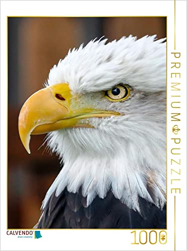 CALVENDO Puzzle Adler 1000 Teile Lege-Größe 48 x 64 cm Foto-Puzzle Bild von Peter Roder CALVENDO Puzzle Adler 1000 Teile Lege-Größe 48 x 64 cm Foto-Puzzle Bild von Peter Roder von CALVENDO