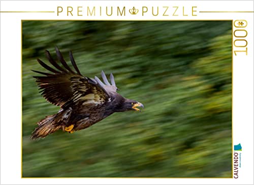 CALVENDO Puzzle Adler 1000 Teile Puzzle quer | 1000 Teile Lege-Größe 64 x 48 cm Foto-Puzzle für glückliche Stunden von CALVENDO