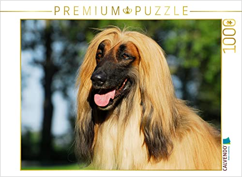 CALVENDO Puzzle Afghanischer Windhund - Rüdenporträt 1000 Teile Puzzle quer | 1000 Teile Lege-Größe 64 x 48 cm Foto-Puzzle für glückliche Stunden von CALVENDO