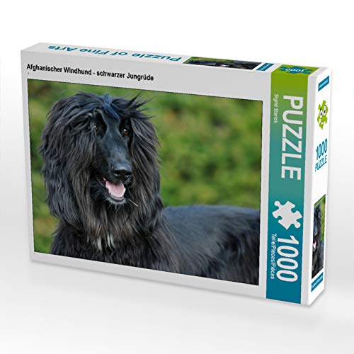 CALVENDO Puzzle Afghanischer Windhund - schwarzer Jungrüde 1000 Teile Lege-Größe 64 x 48 cm Foto-Puzzle Bild von Starick Sigrid von CALVENDO