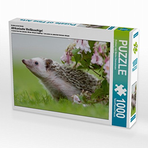 CALVENDO Puzzle Afrikanische Weißbauchigel 1000 Teile Lege-Größe 64 x 48 cm Foto-Puzzle Bild von Andreas und Marina Zimmermann GbR CALVENDO Puzzle Afrikanische Weißbauchigel 1000 Teile Lege-Größe 64 x 48 cm Foto-Puzzle Bild von Andreas und Marina Zimmermann GbR von CALVENDO
