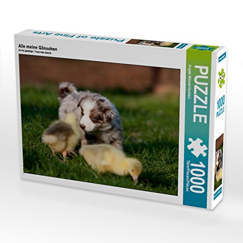 CALVENDO Puzzle Alle Meine Gänschen 1000 Teile Puzzle quer | 1000 Teile Lege-Größe 64 x 48 cm Foto-Puzzle für glückliche Stunden CALVENDO Puzzle Alle Meine Gänschen 1000 Teile Puzzle quer | 1000 Teile Lege-Größe 64 x 48 cm Foto-Puzzle für glückliche Stunden von CALVENDO