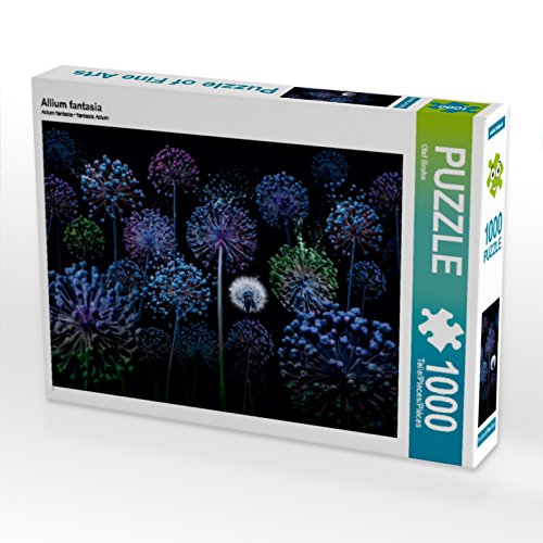 CALVENDO Puzzle Allium Fantasia 1000 Teile Puzzle quer | 1000 Teile Lege-Größe 64 x 48 cm Foto-Puzzle für glückliche Stunden CALVENDO Puzzle Allium Fantasia 1000 Teile Puzzle quer | 1000 Teile Lege-Größe 64 x 48 cm Foto-Puzzle für glückliche Stunden von CALVENDO