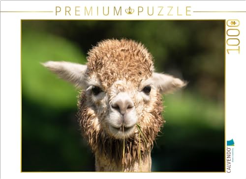 CALVENDO Puzzle Alpaka | Lege-Größe cm Foto-Puzzle für glückliche Stunden von CALVENDO