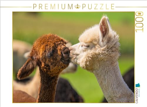 CALVENDO Puzzle Alpakafohlen | Lege-Größe cm Foto-Puzzle für glückliche Stunden von CALVENDO