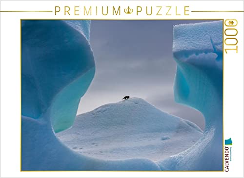 CALVENDO Puzzle Antarktis - Pinguin im Fenster 1000 Teile Puzzle quer | 1000 Teile Lege-Größe 64 x 48 cm Foto-Puzzle für glückliche Stunden CALVENDO Puzzle Antarktis - Pinguin im Fenster 1000 Teile Puzzle quer | 1000 Teile Lege-Größe 64 x 48 cm Foto-Puzzle für glückliche Stunden von CALVENDO