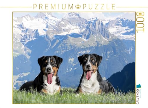 CALVENDO Puzzle Appenzeller Hündinnen in der Schweizer Heimat | Lege-Größe cm Foto-Puzzle für glückliche Stunden CALVENDO Puzzle Appenzeller Hündinnen in der Schweizer Heimat | Lege-Größe cm Foto-Puzzle für glückliche Stunden von CALVENDO