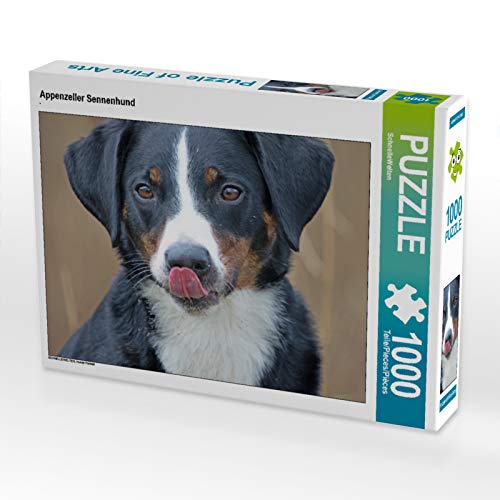 CALVENDO Puzzle Appenzeller Sennenhund 1000 Teile Lege-Größe 64 x 48 cm Foto-Puzzle Bild von SchnelleWelten von CALVENDO