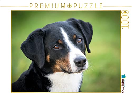 CALVENDO Puzzle Appenzeller Sennenhund 1000 Teile Lege-Größe 64 x 48 cm Foto-Puzzle Bild von SchnelleWelten von CALVENDO