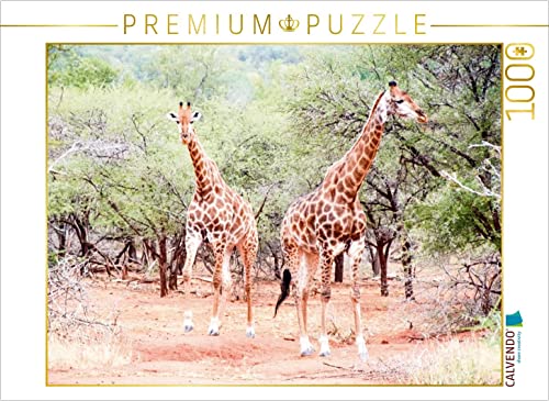 CALVENDO Puzzle Auf Safari 1000 Teile Puzzle quer | 1000 Teile Lege-Größe 64 x 48 cm Foto-Puzzle für glückliche Stunden von CALVENDO