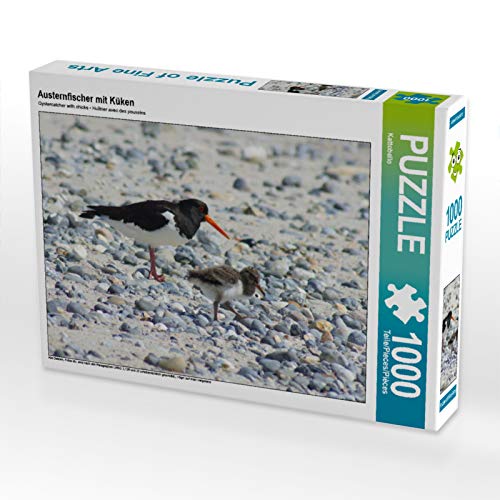 CALVENDO Puzzle Austernfischer mit Küken 1000 Teile Puzzle quer | 1000 Teile Lege-Größe 64 x 48 cm Foto-Puzzle für glückliche Stunden von CALVENDO
