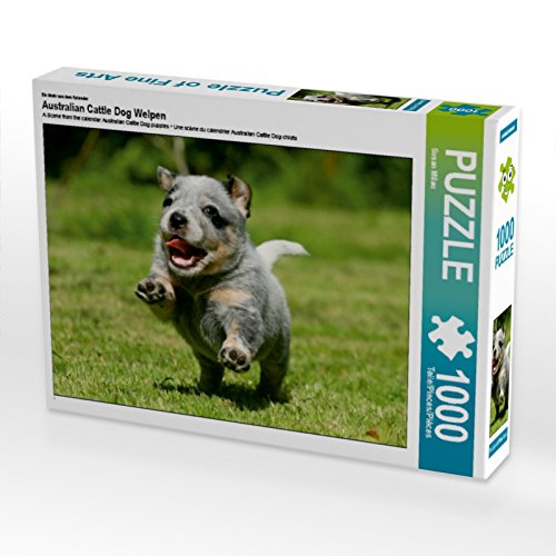 CALVENDO Puzzle EIN Motiv aus dem Kalender Australian Cattle Dog Welpen 1000 Teile Puzzle quer | 1000 Teile Lege-Größe 64 x 48 cm Foto-Puzzle für glückliche Stunden von CALVENDO