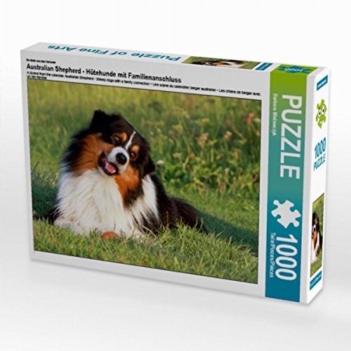 CALVENDO Puzzle Australian Shepherd - Hütehunde mit Familienanschluss 1000 Teile Lege-Größe 64 x 48 cm Foto-Puzzle Bild von Barbara Mielewczyk CALVENDO Puzzle Australian Shepherd - Hütehunde mit Familienanschluss 1000 Teile Lege-Größe 64 x 48 cm Foto-Puzzle Bild von Barbara Mielewczyk von CALVENDO