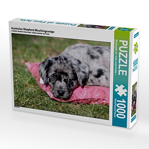 CALVENDO Puzzle Australian Shepherd Mischlingswelpe 1000 Teile Puzzle quer | 1000 Teile Lege-Größe 64 x 48 cm Foto-Puzzle für glückliche Stunden CALVENDO Puzzle Australian Shepherd Mischlingswelpe 1000 Teile Puzzle quer | 1000 Teile Lege-Größe 64 x 48 cm Foto-Puzzle für glückliche Stunden von CALVENDO