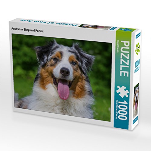 CALVENDO Puzzle Australian Shepherd Porträt 1000 Teile Puzzle quer | 1000 Teile Lege-Größe 64 x 48 cm Foto-Puzzle für glückliche Stunden von CALVENDO