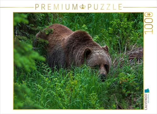 CALVENDO Puzzle Bär im Grünen | 1000 Teile Lege-Größe 64 x 48 cm Foto-Puzzle für glückliche Stunden von CALVENDO