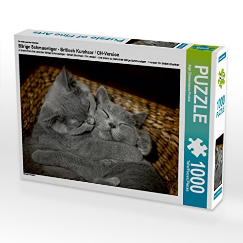 CALVENDO Puzzle EIN Motiv aus dem Kalender Bärige Schmusetiger - Britisch Kurzhaar/CH-Version 1000 Teile Puzzle quer | 1000 Teile Lege-Größe 64 x 48 cm Foto-Puzzle für glückliche Stunden CALVENDO Puzzle EIN Motiv aus dem Kalender Bärige Schmusetiger - Britisch Kurzhaar/CH-Version 1000 Teile Puzzle quer | 1000 Teile Lege-Größe 64 x 48 cm Foto-Puzzle für glückliche Stunden von CALVENDO