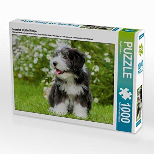 CALVENDO Puzzle Bearded Collie Welpe 1000 Teile Lege-Größe 64 x 48 cm Foto-Puzzle Bild von Sista-Tierfoto von CALVENDO