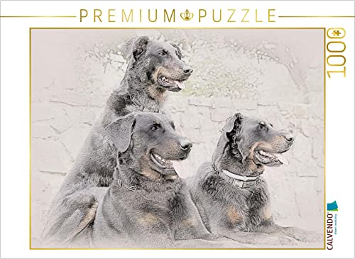 CALVENDO Puzzle Beauceron 1000 Teile Puzzle quer | 1000 Teile Lege-Größe 64 x 48 cm Foto-Puzzle für glückliche Stunden von CALVENDO
