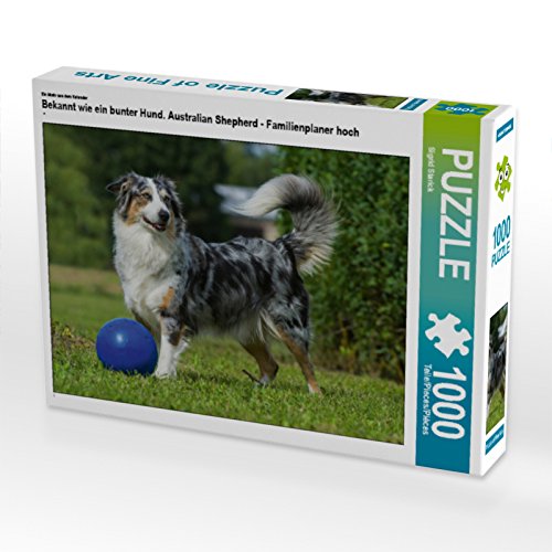 CALVENDO Puzzle EIN Motiv aus dem Kalender Bekannt wie EIN bunter Hund. Australian Shepherd - Familienplaner hoch 1000 Teile Puzzle quer | Lege-Größe cm Foto-Puzzle für glückliche Stunden von CALVENDO