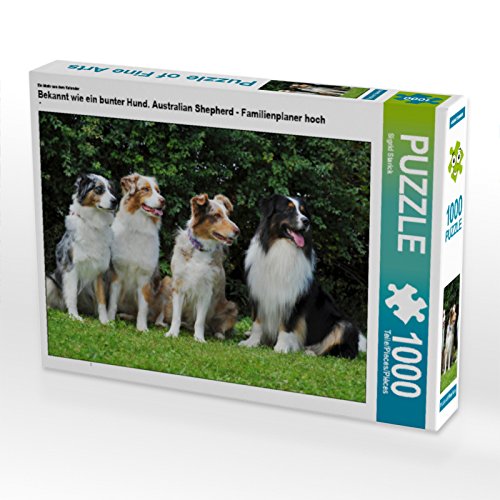 CALVENDO Puzzle Bekannt wie EIN bunter Hund. Australian Shepherd - Familienplaner hoch 1000 Teile Lege-Größe 64 x 48 cm Foto-Puzzle Bild von Sista-Tierfoto CALVENDO Puzzle Bekannt wie EIN bunter Hund. Australian Shepherd - Familienplaner hoch 1000 Teile Lege-Größe 64 x 48 cm Foto-Puzzle Bild von Sista-Tierfoto von CALVENDO