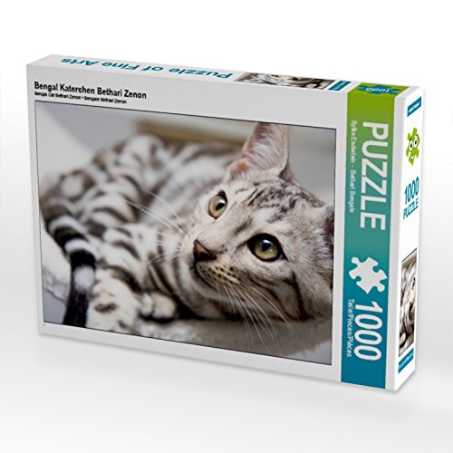 CALVENDO Puzzle Bengal Katerchen Bethari Zenon 1000 Teile Puzzle quer | 1000 Teile Lege-Größe 64 x 48 cm Foto-Puzzle für glückliche Stunden CALVENDO Puzzle Bengal Katerchen Bethari Zenon 1000 Teile Puzzle quer | 1000 Teile Lege-Größe 64 x 48 cm Foto-Puzzle für glückliche Stunden von CALVENDO