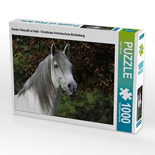CALVENDO Puzzle Berber Raisulih EL Hadi - Fürstliche Hofreitschule Bückeburg 1000 Teile Puzzle quer | 1000 Teile Lege-Größe 64 x 48 cm Foto-Puzzle für glückliche Stunden CALVENDO Puzzle Berber Raisulih EL Hadi - Fürstliche Hofreitschule Bückeburg 1000 Teile Puzzle quer | 1000 Teile Lege-Größe 64 x 48 cm Foto-Puzzle für glückliche Stunden von CALVENDO